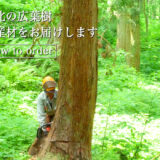 休業日のお知らせ