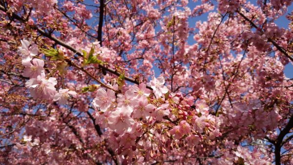 GW休業日のお知らせ