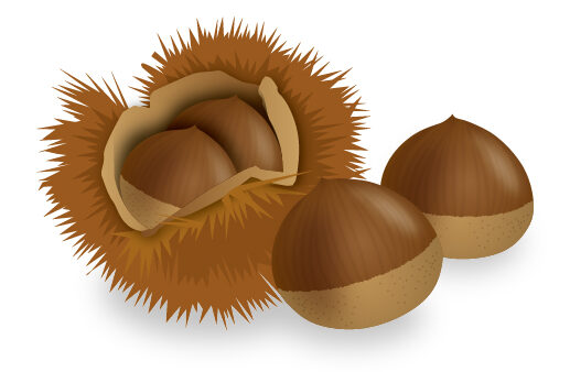 広葉樹栗材フローリング加工販売が好調です