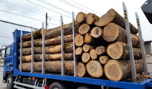 山形県産|タモ|製材|広葉樹|造作材　　　　　　　　　　　　　　　　※製材動画あり