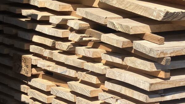 訳アリ広葉樹原板「販売開始」！