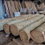 山形県高畠町産のニセアカシア丸太が入荷しました