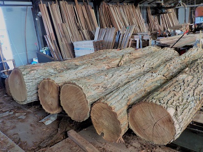 山形県高畠町産のニセアカシア丸太が入荷しました
